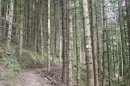 Du Lac de Kruth à l'abri des Pionniers